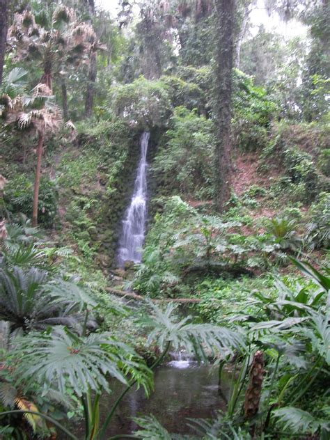 The "Unknown" Florida: Rainbow Springs - Dunnellon, FL