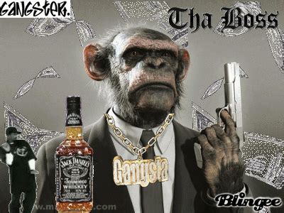 gangster monkey Picture #71432392 | Blingee.com