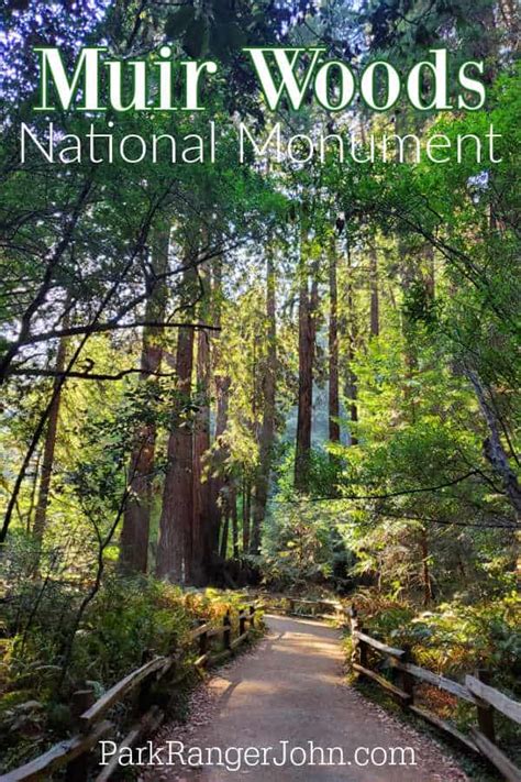 Muir Woods National Monument - California | Park Ranger John