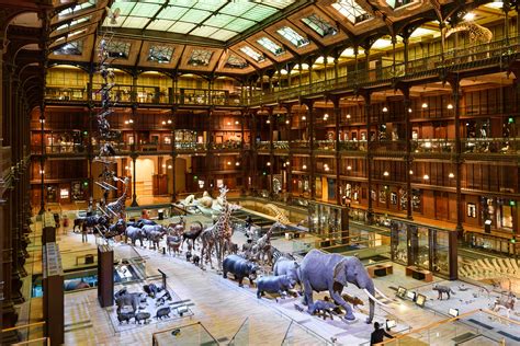 Great Gallery of Evolution | The beautiful National Museum o… | Flickr