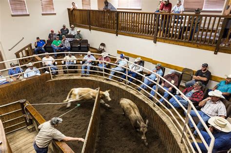 Two Kansans Head to the World Livestock Auctioneer Championship Qualifying Event | KCLY Radio