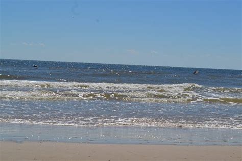 Matagorda Beach - 2021 All You Need to Know BEFORE You Go (with Photos ...