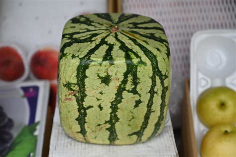 Cube Shaped Watermelon