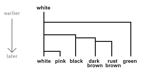 Fungi - Classification, names & identification