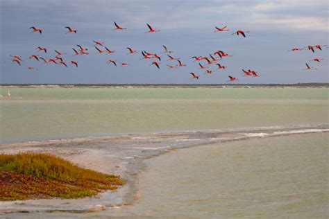 110+ Las Coloradas Mexico Stock Photos, Pictures & Royalty-Free Images - iStock