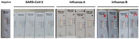 Diagnostics | Free Full-Text | Performance Evaluation of STANDARD Q COVID/FLU Ag Combo for ...