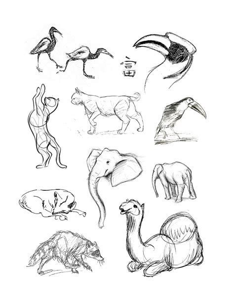 How To Draw Animals Step By Step With Pencil / The following step by step lessons on how to draw ...