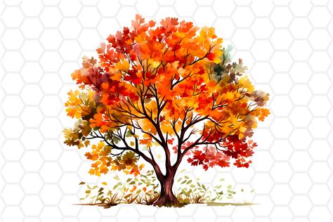 Watercolor Autumn Tree Clipart PNG Graphic by DreanArtDesign · Creative Fabrica