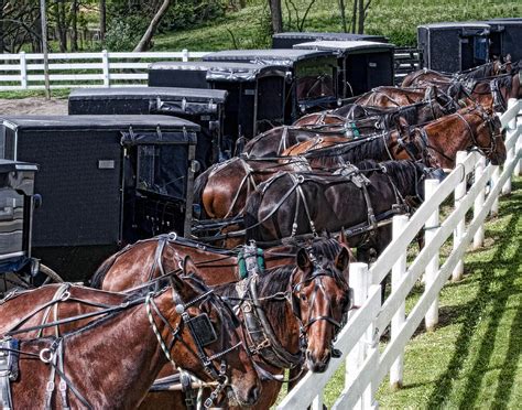 Amish Parking Lot Photograph by Tom Mc Nemar