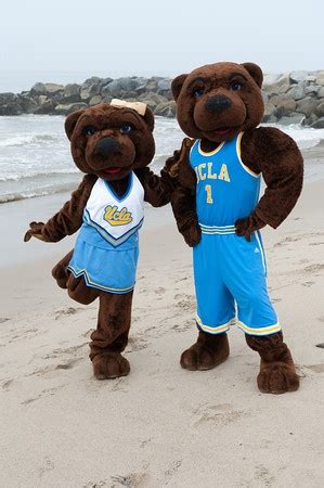 Joe and Josephine Bruin, our mascot, at the beach | Bruin Fanatics ...