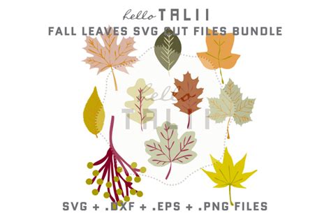 FALL LEAVES SVG CUT FILES BUNDLE By Hello Talii | TheHungryJPEG