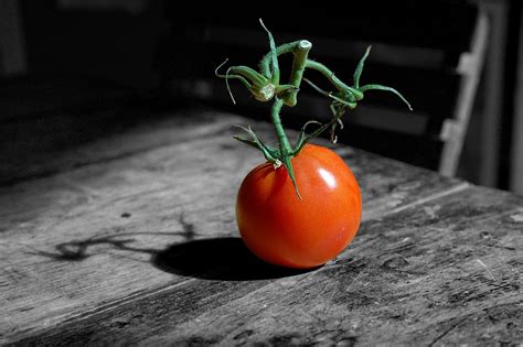 Tomato Fruit Vegetable - Free photo on Pixabay - Pixabay