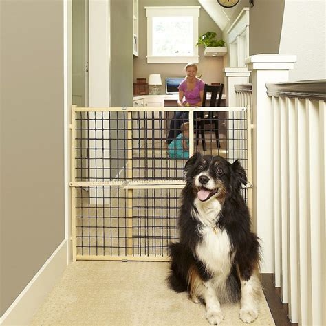 MyPet Extra Wide Wire Mesh Gate for Dogs & Cats - Chewy.com