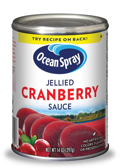 Ocean Spray Cranberry Sauce Recipe | Besto Blog