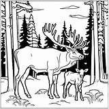 Elk And Cow In A Forest coloring Page Lulu Pages sketch template