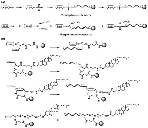 Pharmaceutics | Free Full-Text | Lipid and Peptide-Oligonucleotide ...