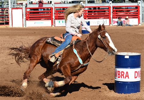 Barrel racing horses, Barrel racing, Horses