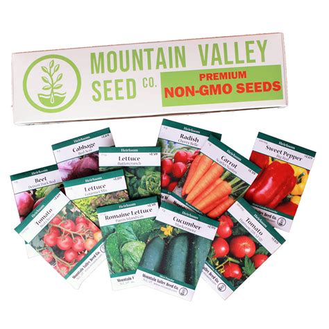 Salad Garden Seed Collection - Deluxe Assortment - 12 Non-GMO Vegetable Gardening Seed Packets ...