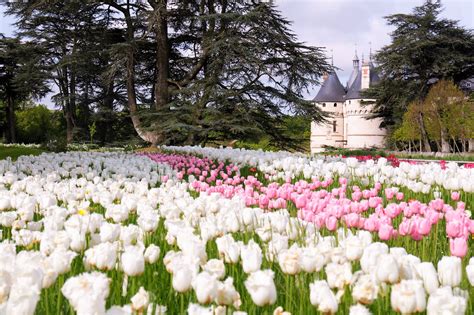 A Guide to the Châteaux and Gardens of the Loire Valley | NUVO