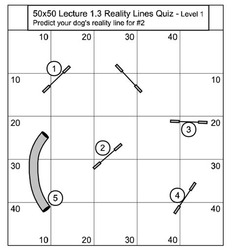 How Do I Set Up A Dog Agility Course