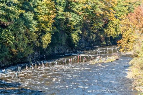 Salmon Fisherman on the Salmon River, New York Stock Image - Image of trees, water: 160272443