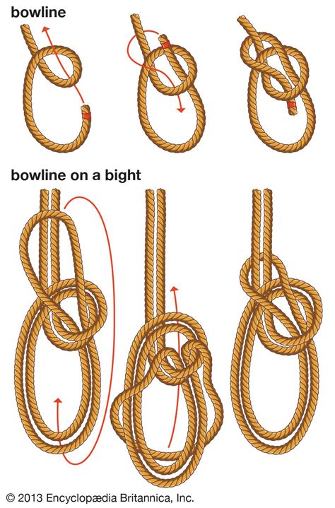 knot, hitch, and splice - Students | Britannica Kids | Homework Help