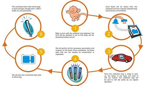 The Importance of Cord Blood Stem Cell and its Banking