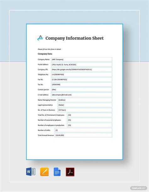 the company information sheet is shown