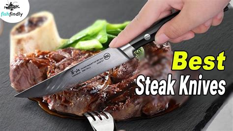 Best Steak Knives In 2020 – We Strongly Suggest For You! - YouTube