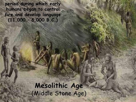 Middle Stone Age History