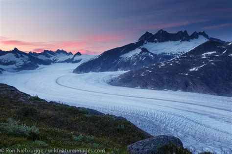 Mendenhall Glacier | Tongass National Forest, Alaska. | Photos by Ron Niebrugge