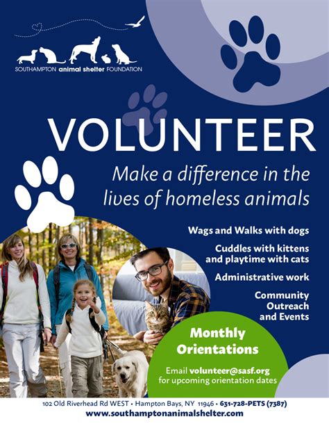 Volunteer - Southampton Animal Foundation