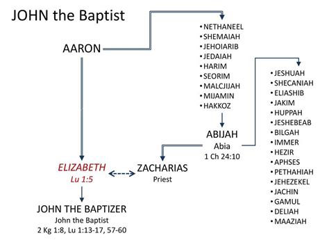 Image result for the family tree of john the baptist images | Bible study tools, Read bible ...