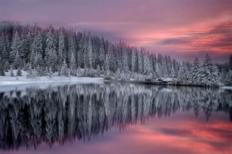 winter in rhodope mountains, bulgaria photo | One Big Photo