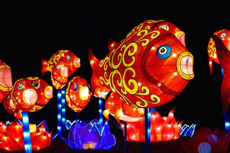 Shedding some light on the China Lights festival – The Highlander Online