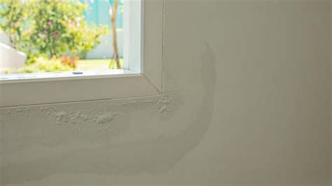 Repairing Water-Damaged Walls: A How-To Guide – Forbes Home