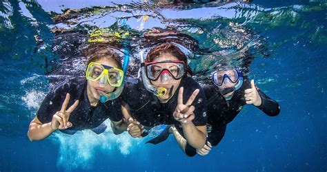 australia-snorkel - Australia Liveaboard