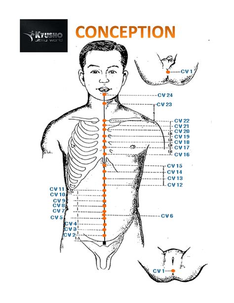 Body Pressure Points Martial Arts - GESTUQZ