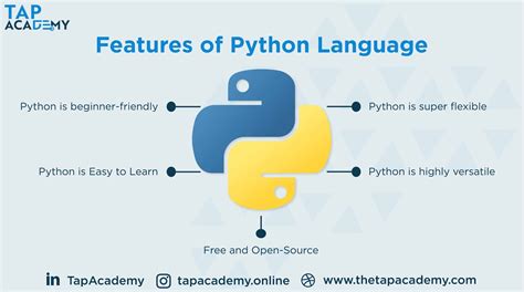 Python Coding for Beginners: A Complete Guide