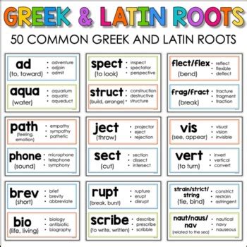 Greek Root Words