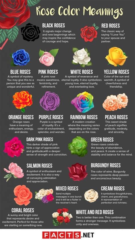 18 Rose Color Meanings That Are Just More Than Romantic | Facts.net