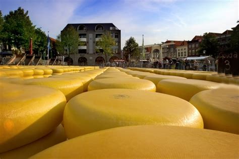 Alkmaar Cheese Market | Tickets Dates & Venues – CarniFest.com