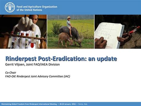 Rinderpest post-eradication: an update | PPT