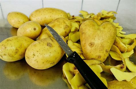 Transforming potato peel waste: Exploring a biorefinery approach and its economic viability | by ...