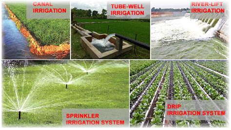 Explain the various methods of irrigation involved - Tutorix