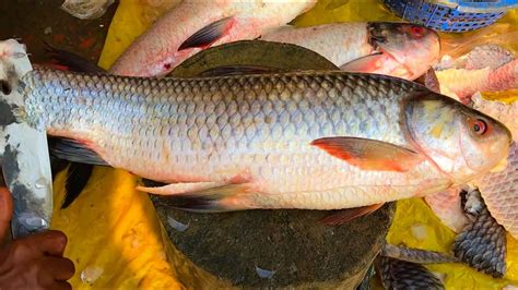 Amazing Rohu Fish Cutting Skills By Fisherman 2020, Big Rui Fish ...