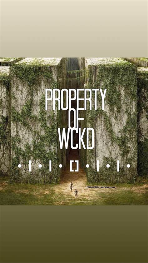 Property of WCKD #wckd is Good Call My Son, Maze Runner Thomas, James Dashner, Katniss Everdeen ...