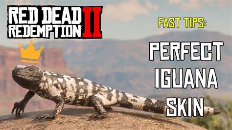 HOW TO GET A PERFECT IGUANA SKIN | RED DEAD REDEMPTION 2 | FAST TIPS - YouTube