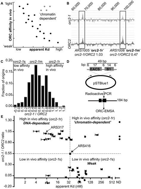 Classifying yeast origins based on the contribution of the... | Download Scientific Diagram