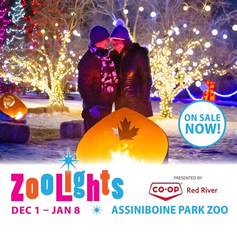 Zoo Lights - GlobalNews Events